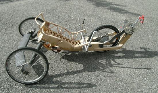 mosquito-sept2010.jpg